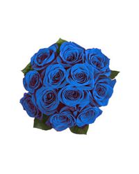 bouquet of blue roses